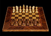 Шахматы «Обузданный конь» код 0090